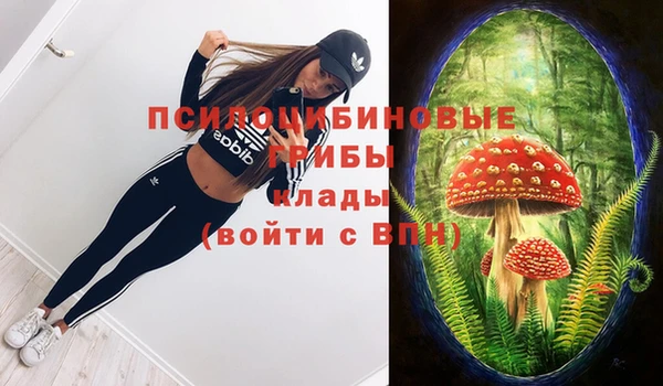 jwh Медвежьегорск
