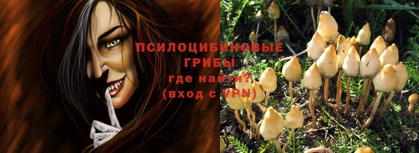 винт Майский