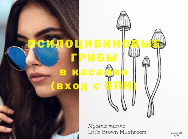 jwh Медвежьегорск