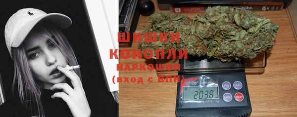 крисы Медногорск