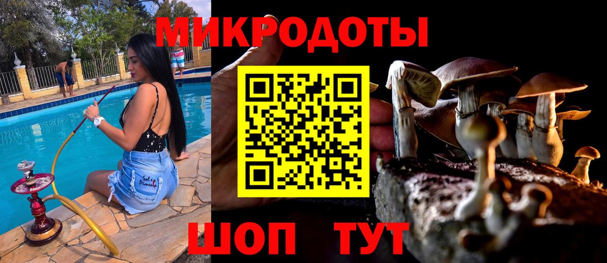 Учалы  Псилоцибиновые грибы мухоморы  Вход с VPN  Псилоцибиновые грибы Psilocybe 