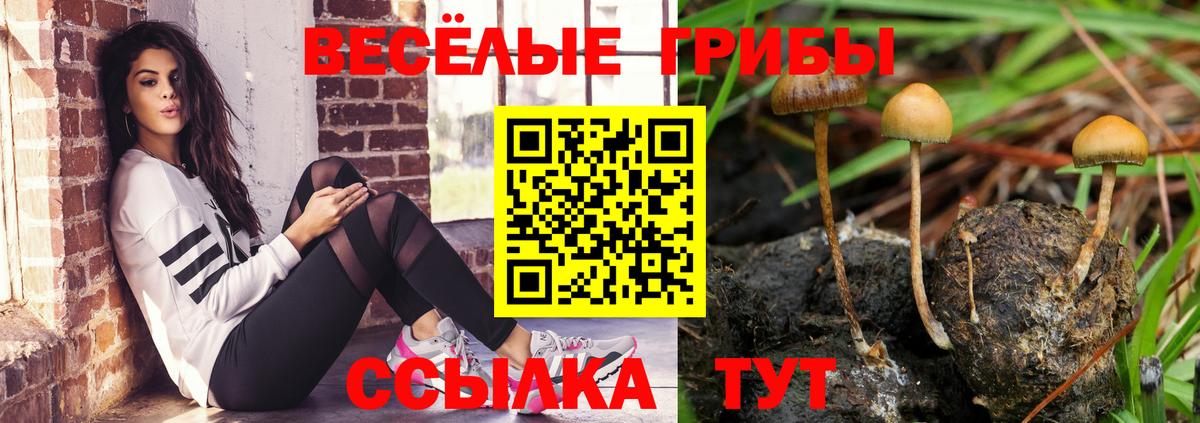 Галлюциногенные грибы мицелий  Учалы 