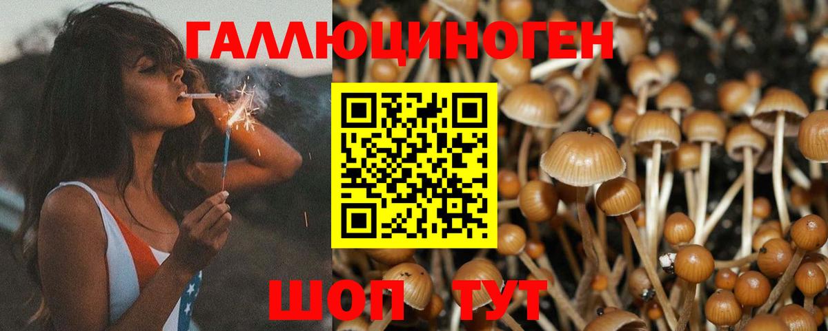 Галлюциногенные грибы мицелий Учалы